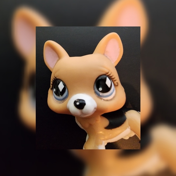 Authentic Littlest Pet Shop LPS #639 Welsh Corgi Puppy Dog Diamond Eyes 2007 - Picture 6 of 9